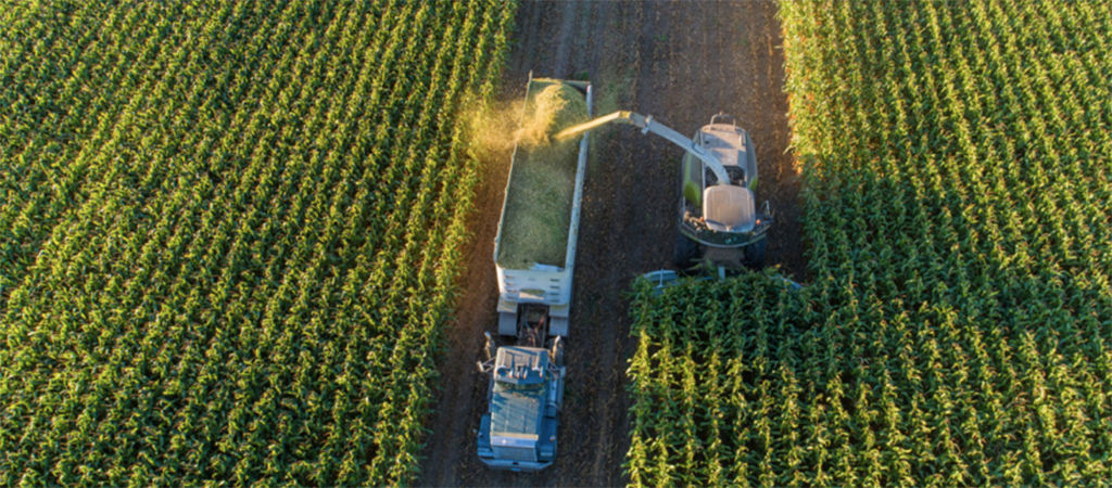 harvesting machine harvest season